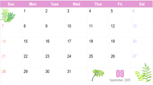 2025년 9월 일정 이미지