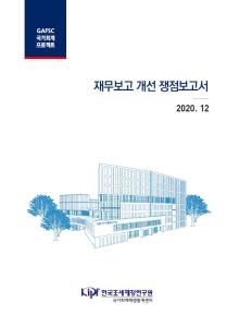 재무보고 개선 쟁점보고서 cover image