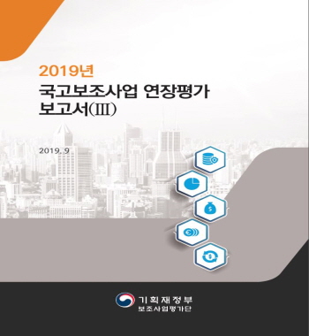 2019년 국고보조사업 연장평가 보고서(Ⅲ)